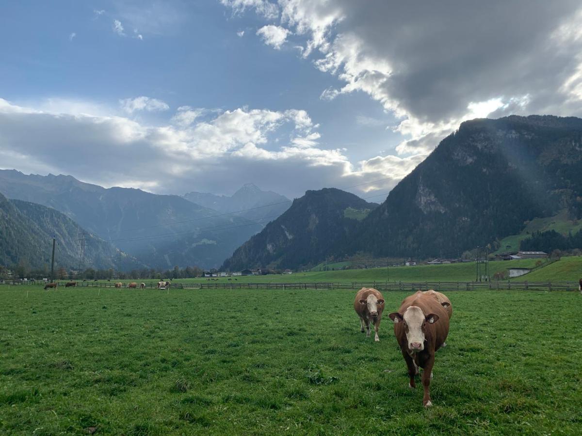 Alpen-Apart Schwendau Eksteriør billede